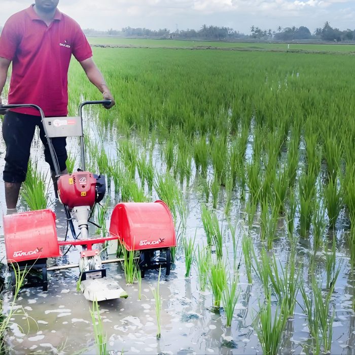 Screenshot 2025-11-21 131012