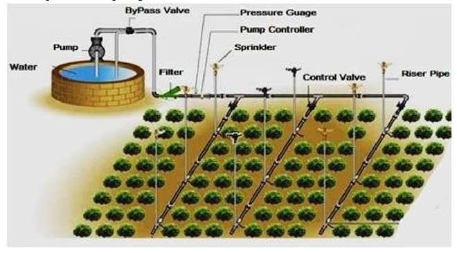 irrigation system schematic